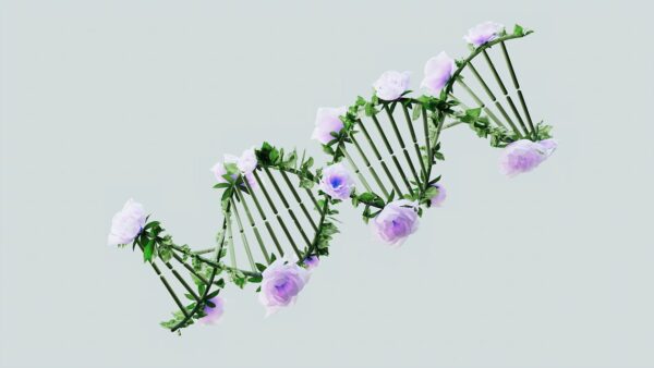 DNA Analysis
